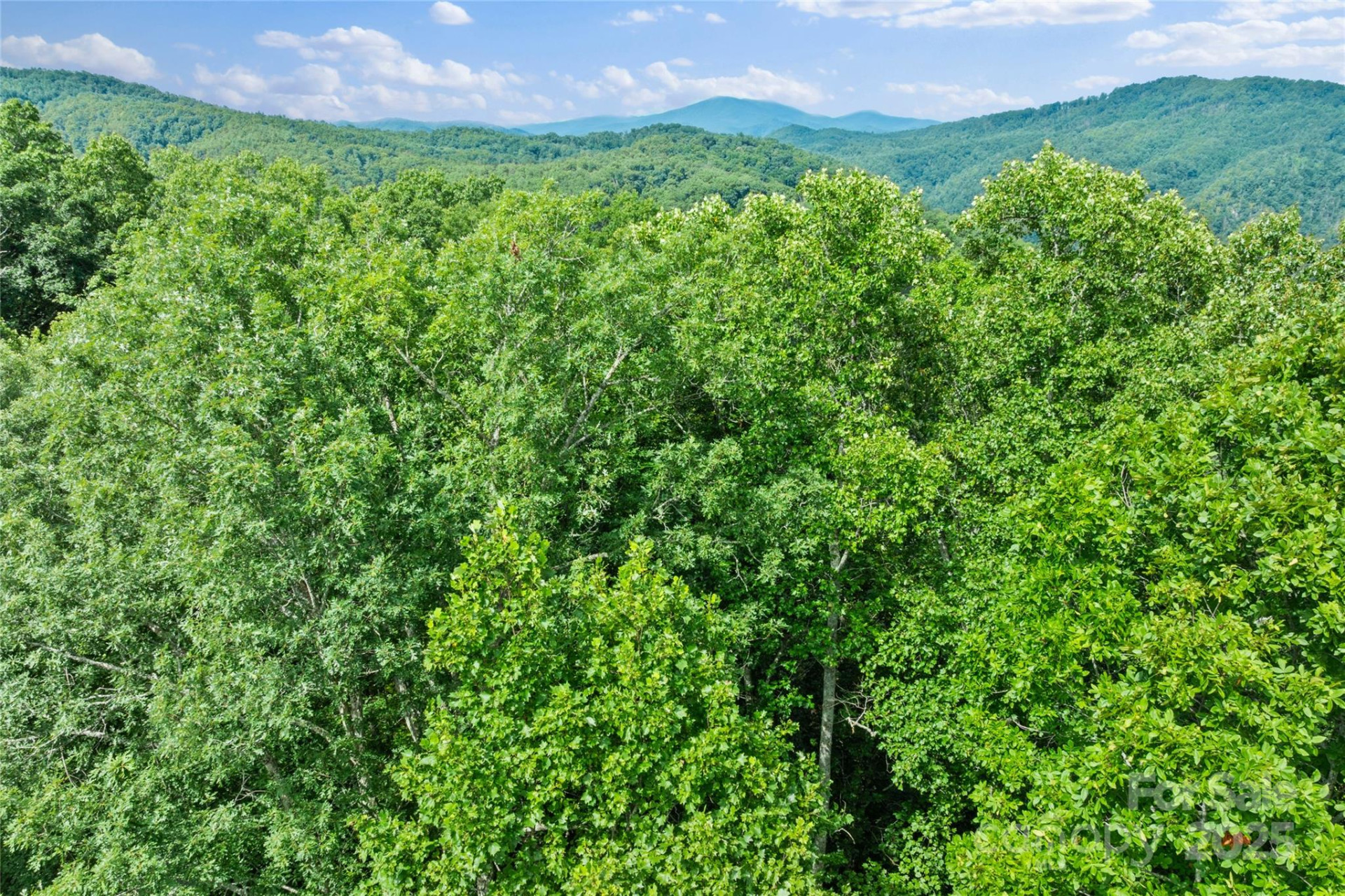 TBD Bear River Lodge Trail #132 - Photo 25