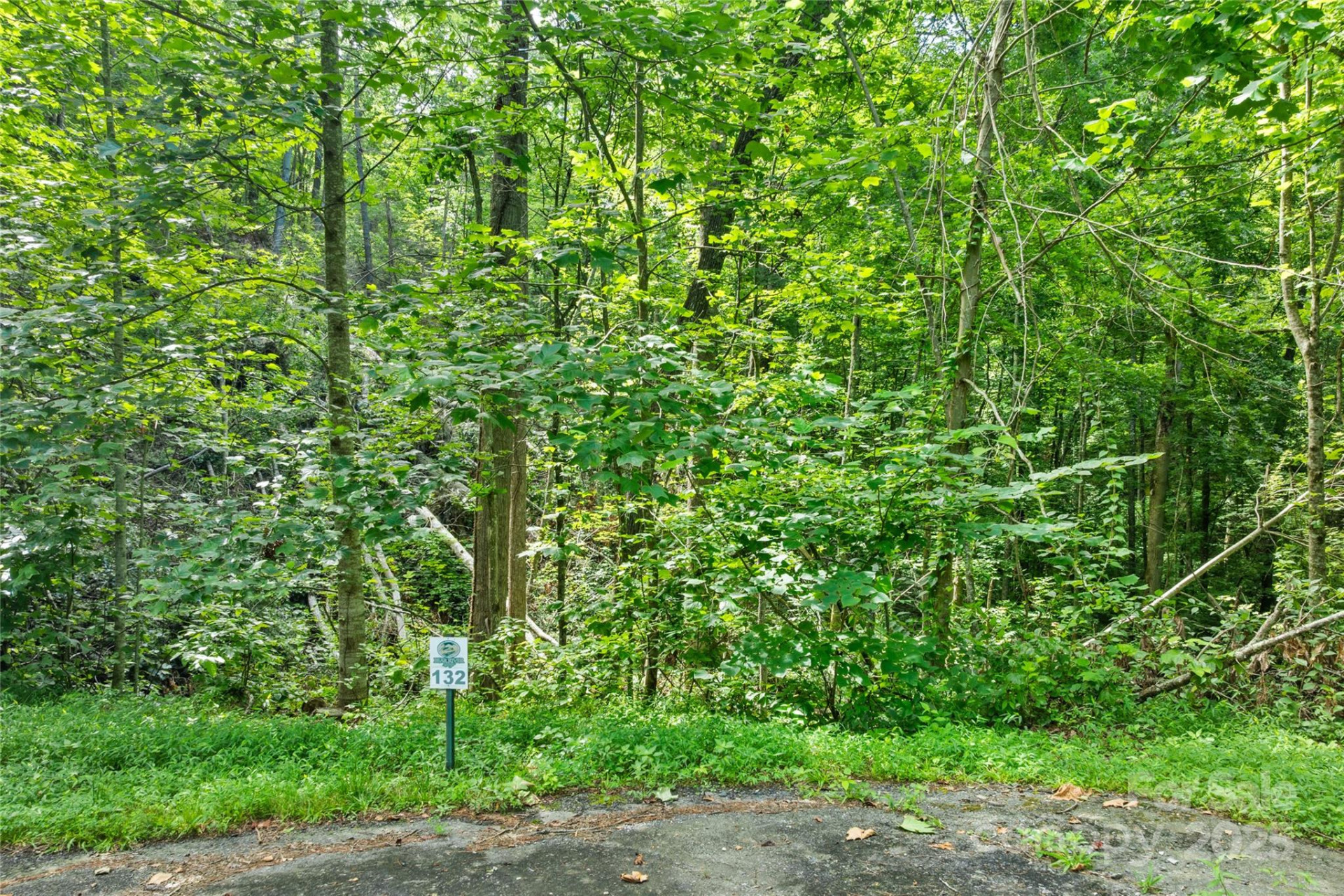 TBD Bear River Lodge Trail #132 - Photo 9