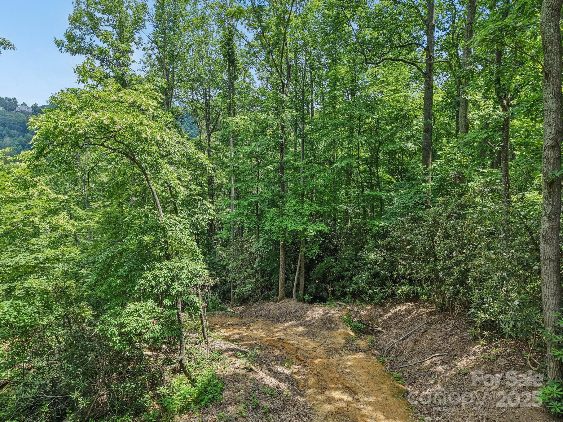 TBD Fiver Lane - Photo 11