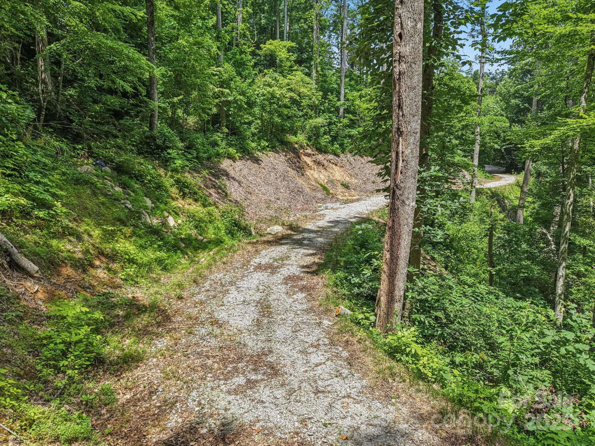 TBD Fiver Lane - Photo 13