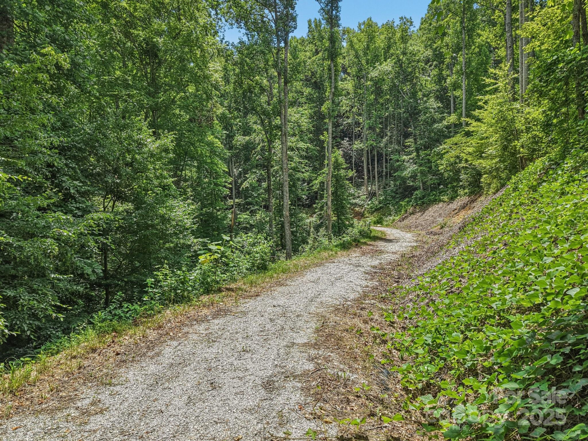 TBD Fiver Lane - Photo 15