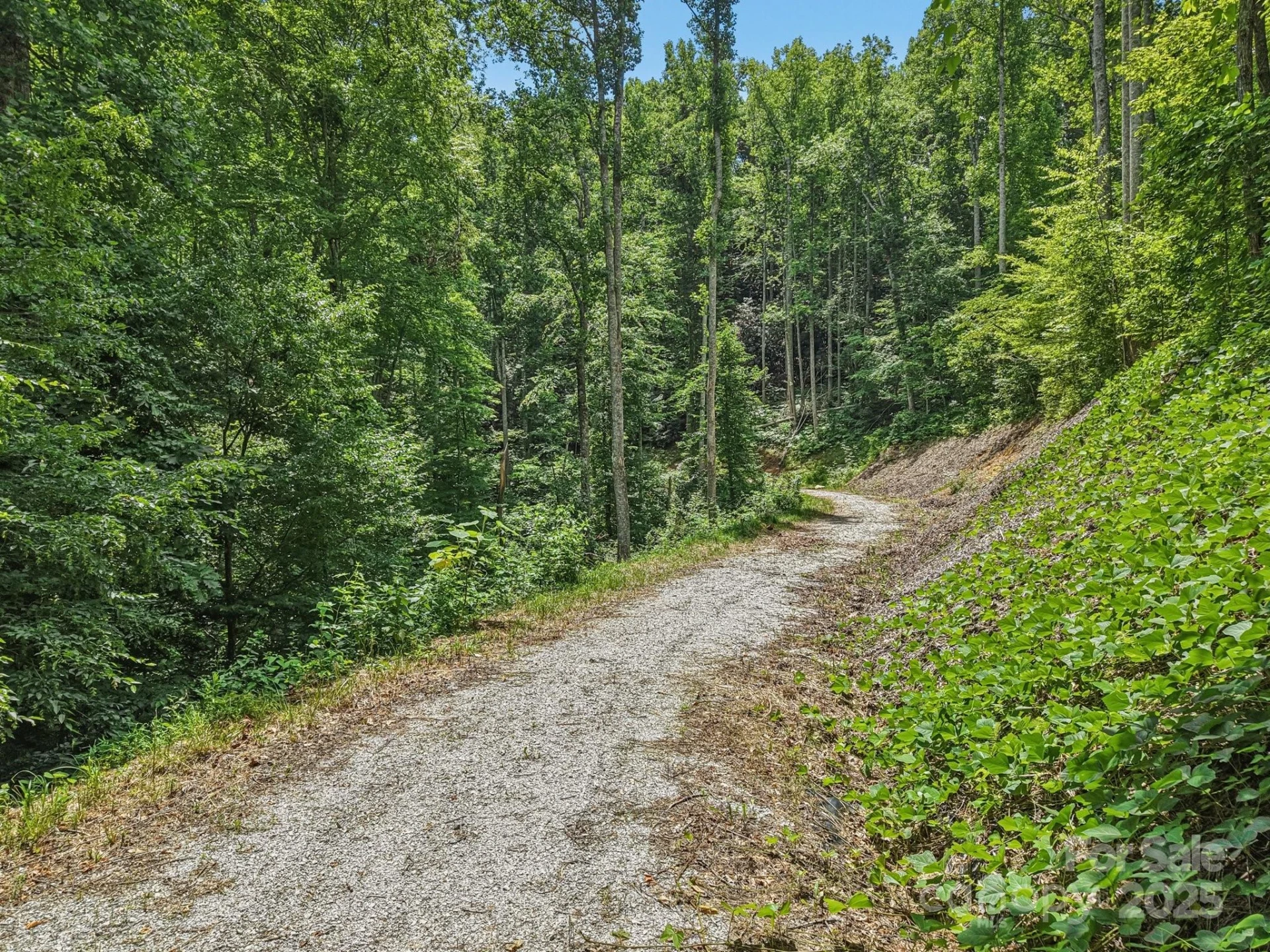 TBD Fiver Lane - Photo 15