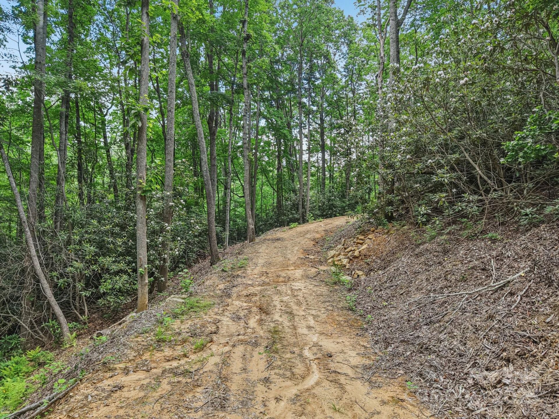 TBD Fiver Lane - Photo 16