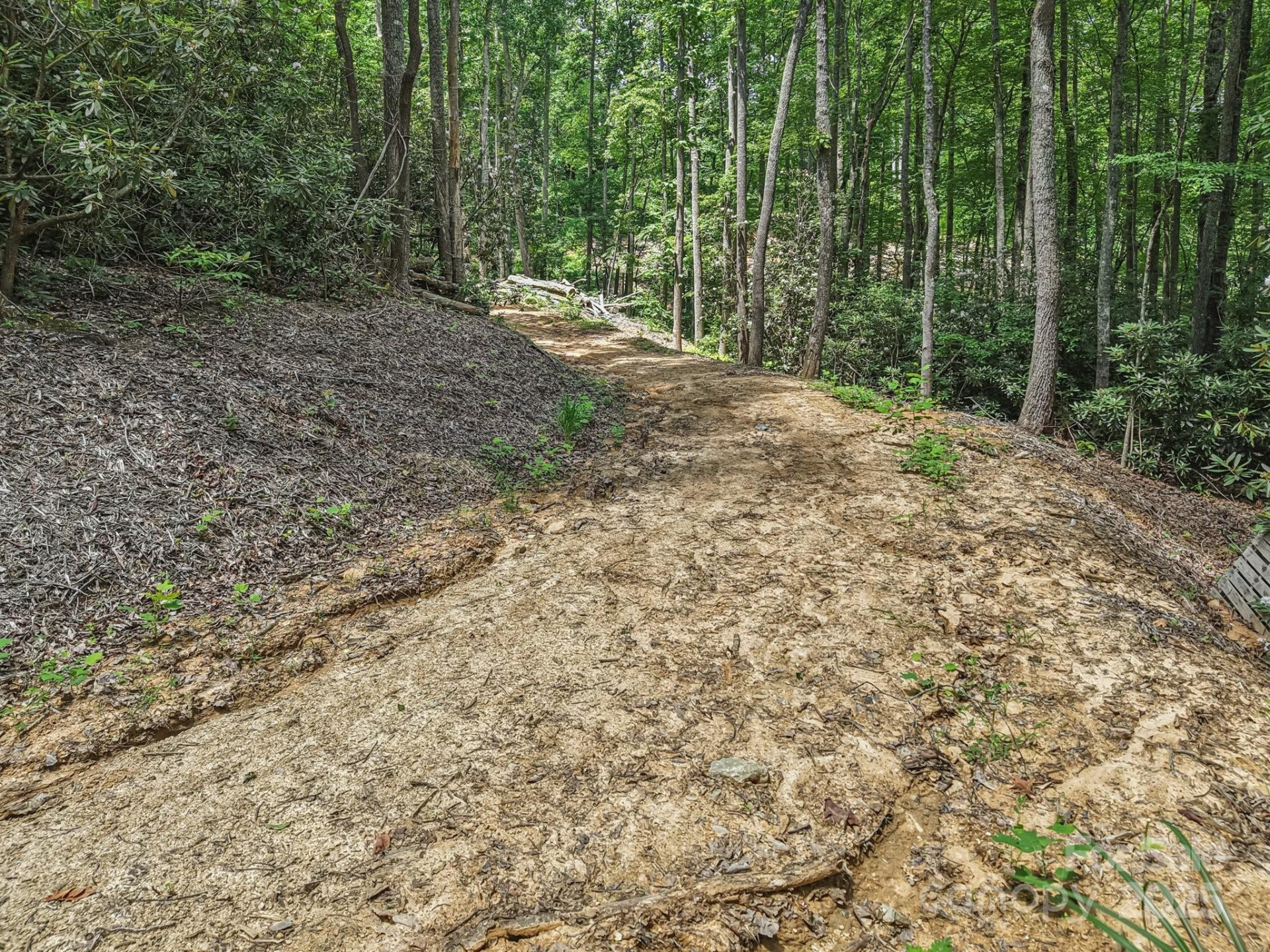 TBD Fiver Lane - Photo 17