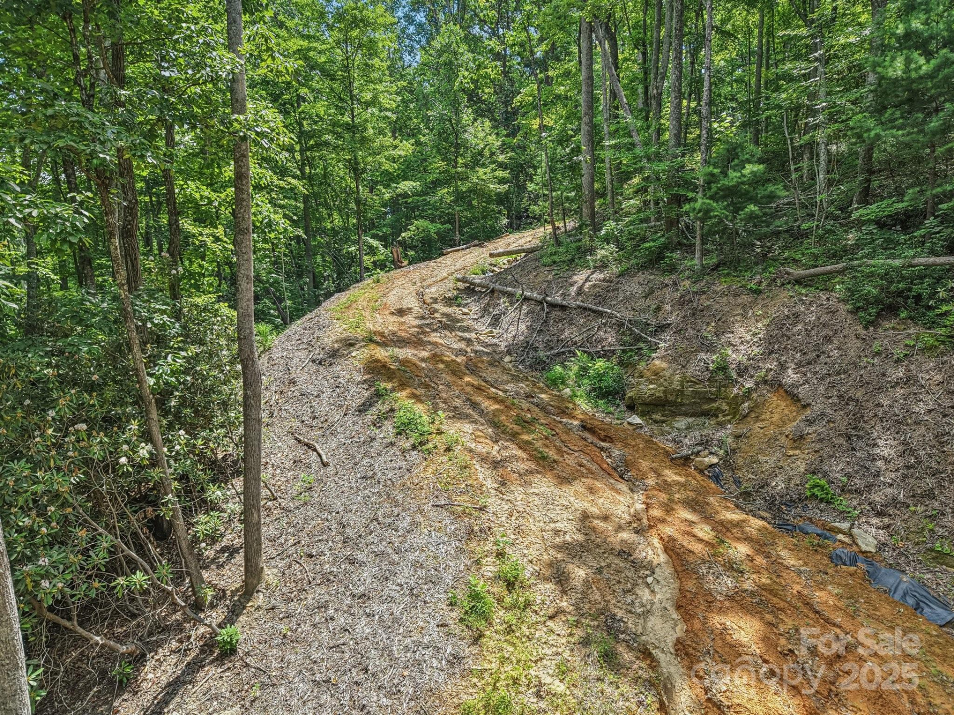 TBD Fiver Lane - Photo 18