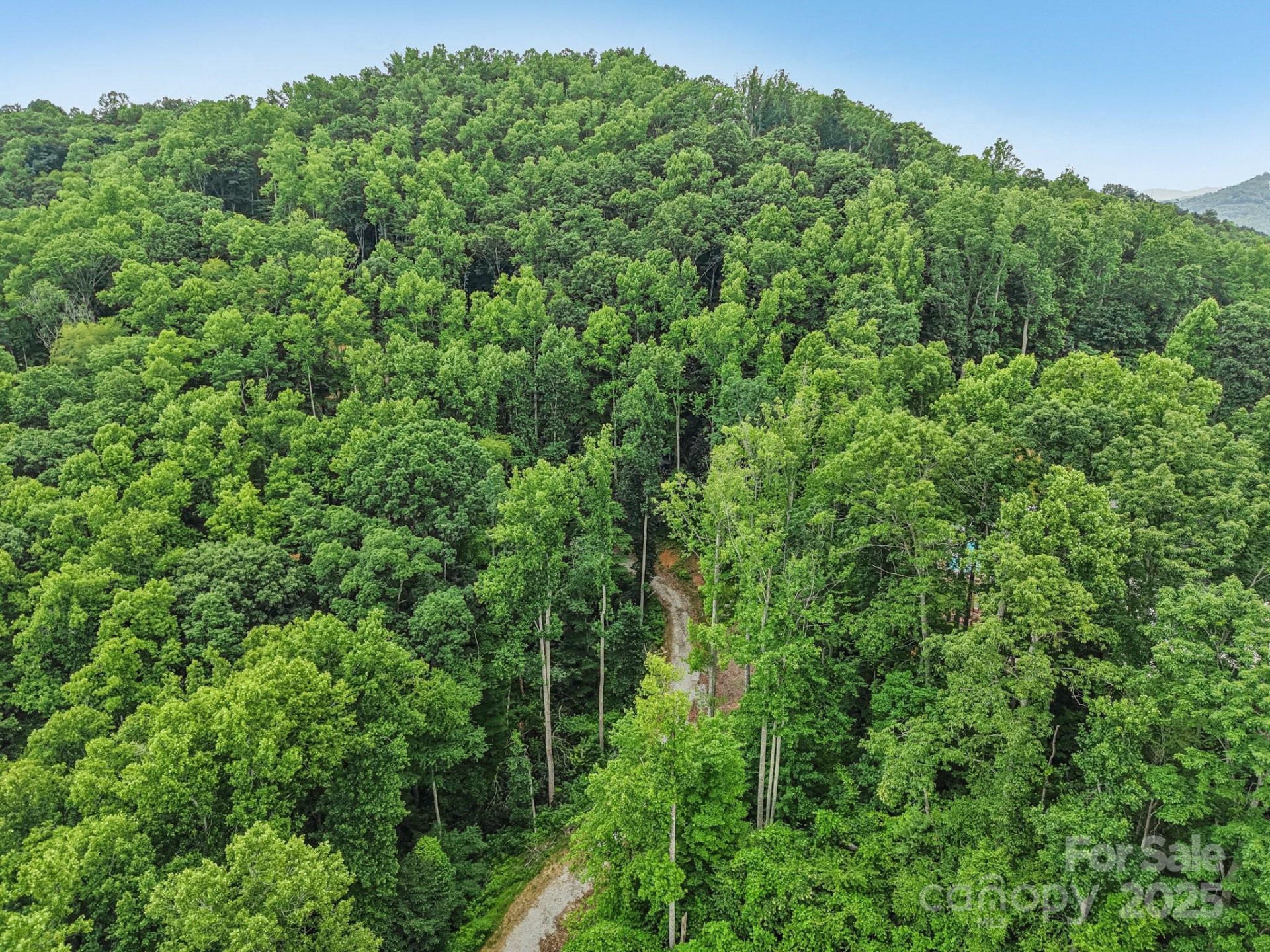 TBD Fiver Lane - Photo 9