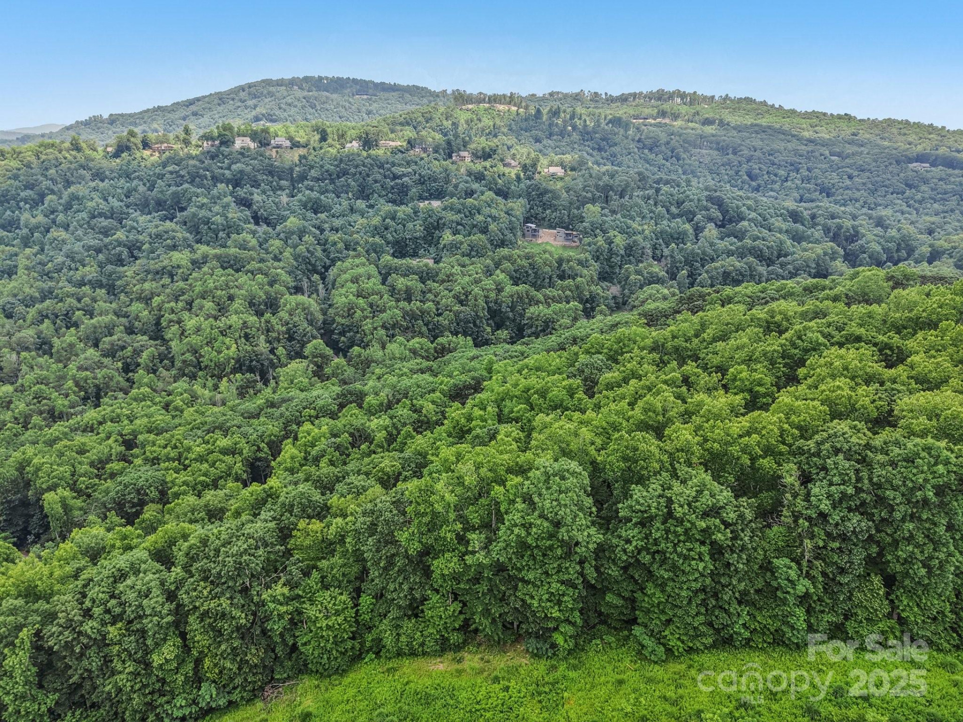 TBD Fiver Lane - Photo 10