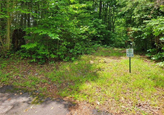 TBD Bear River Lodge Trail, Marshall, NC, 28753