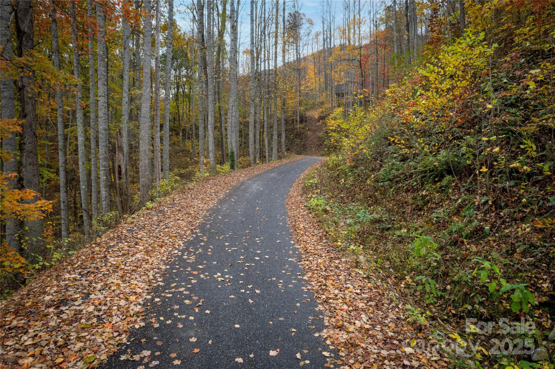 10 Katua Trail #10 - Photo 13