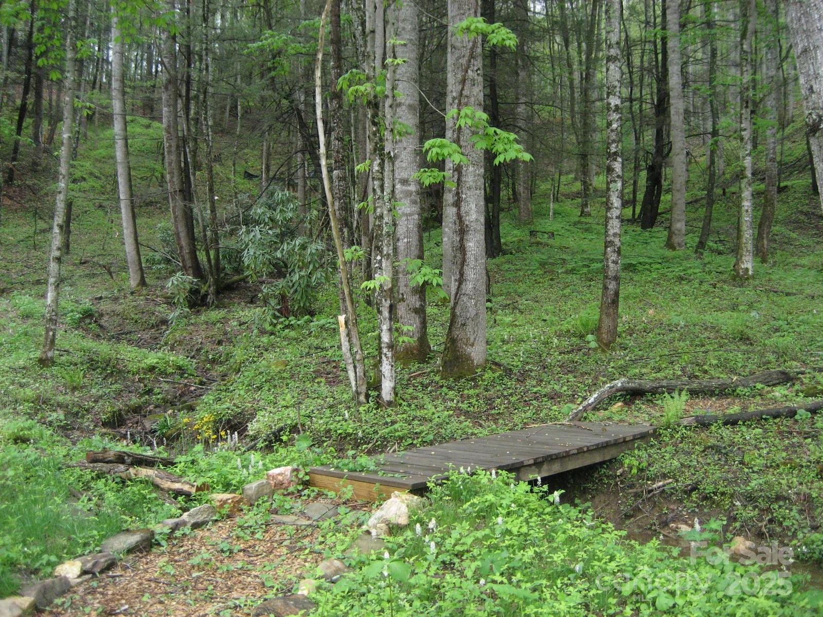 10 Katua Trail #10 - Photo 14