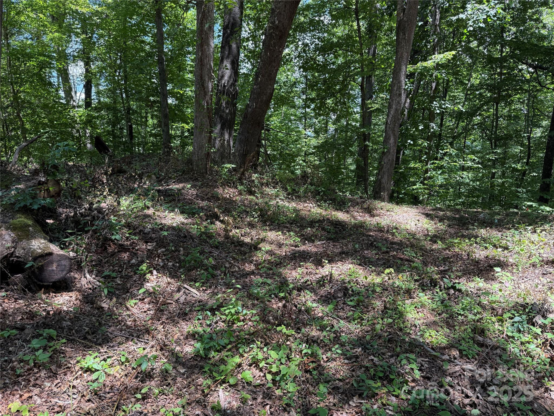 10 Katua Trail #10 - Photo 4