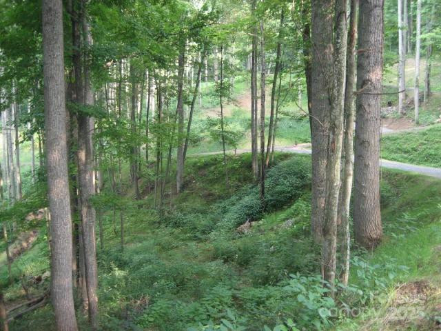 10 Katua Trail #10 - Photo 5