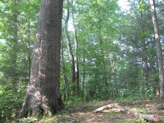 10 Katua Trail #10 - Photo 6