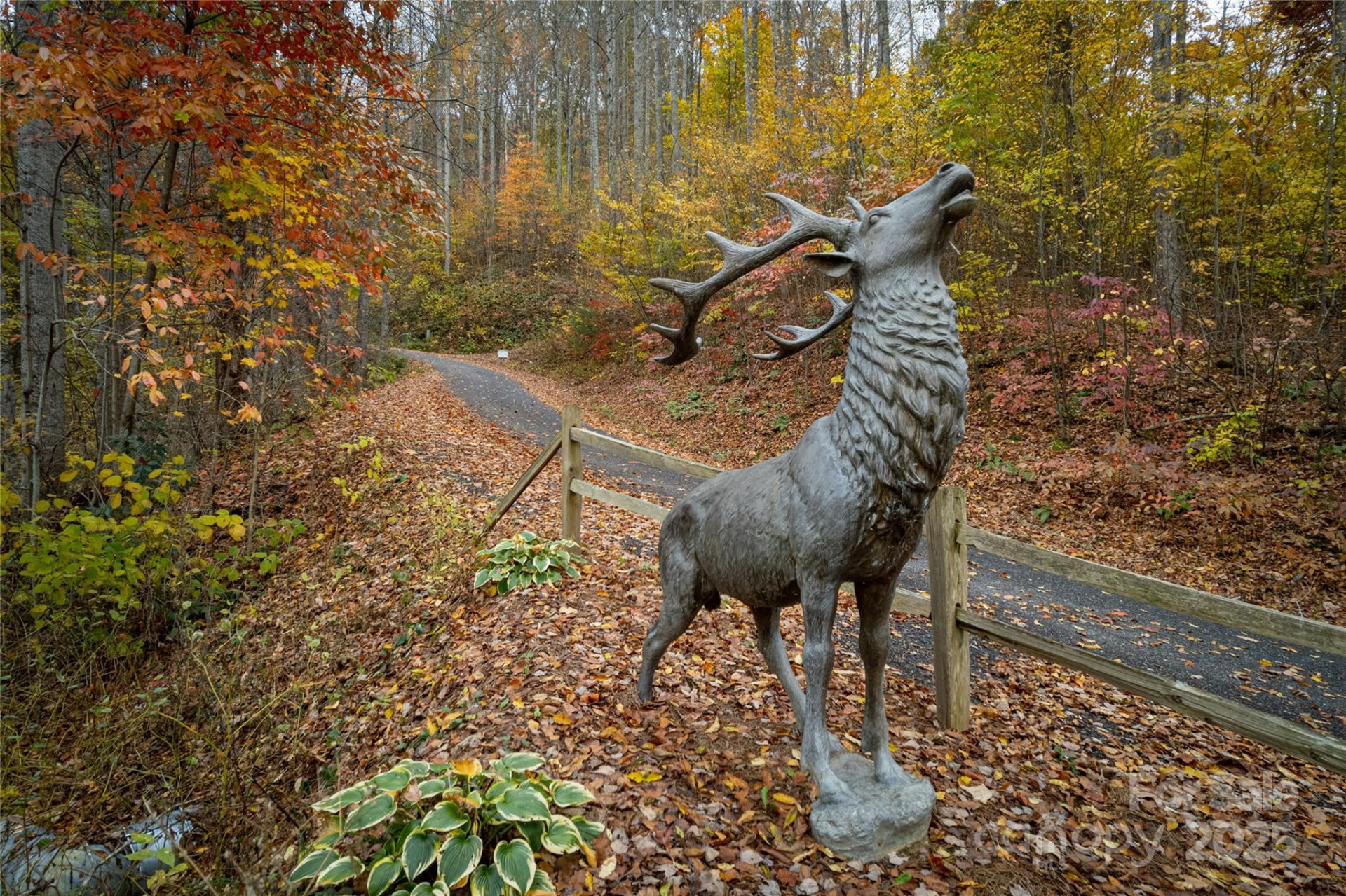 10 Katua Trail #10 - Photo 9