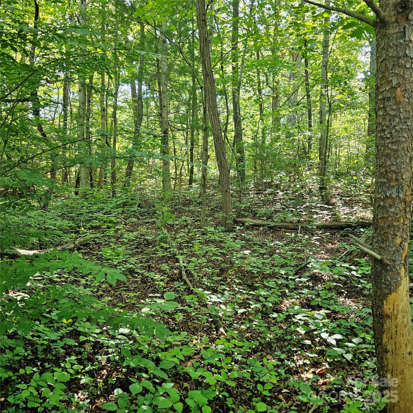 99999 Campground Road