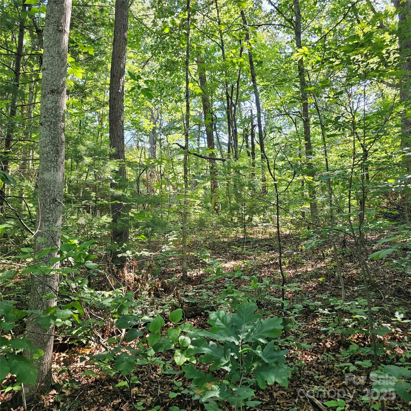 99999 Campground Road - Photo 2