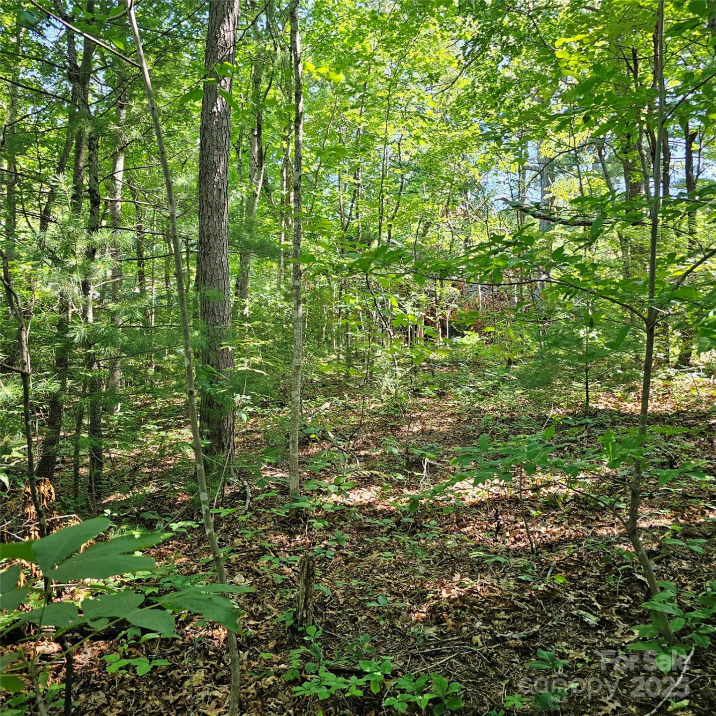 99999 Campground Road - Photo 3