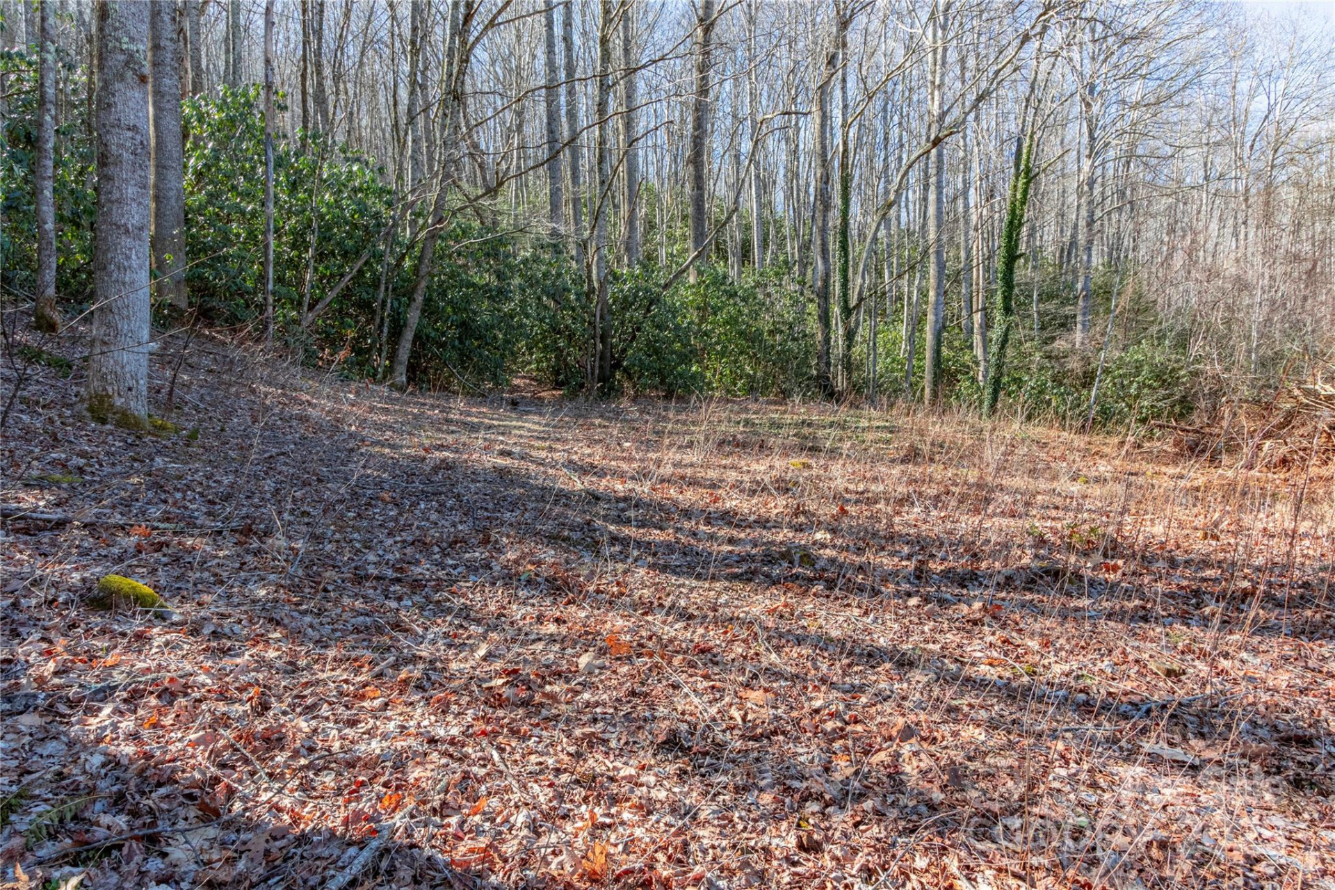 0 Landis Lane - Photo 4