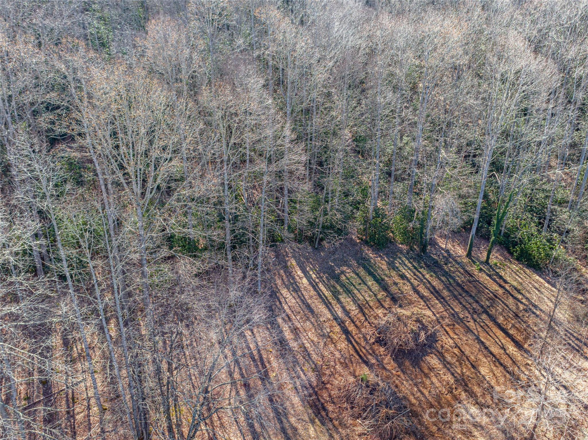 0 Landis Lane - Photo 7