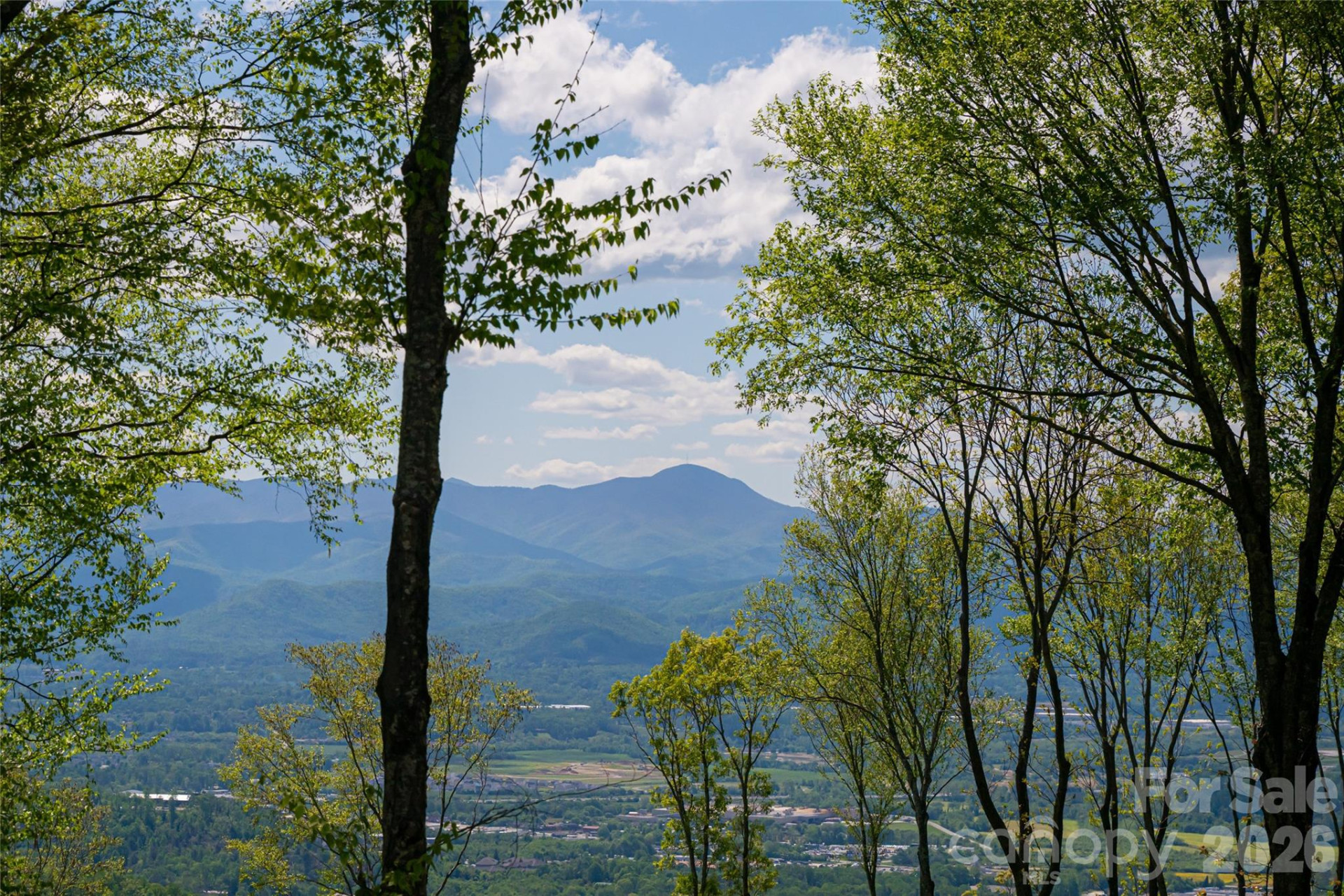 000 Laurel Ledge Way #23 - Photo 2