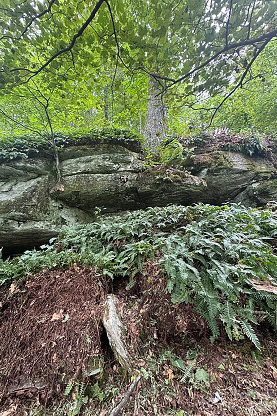 000 Laurel Ledge Way #23 - Photo 11