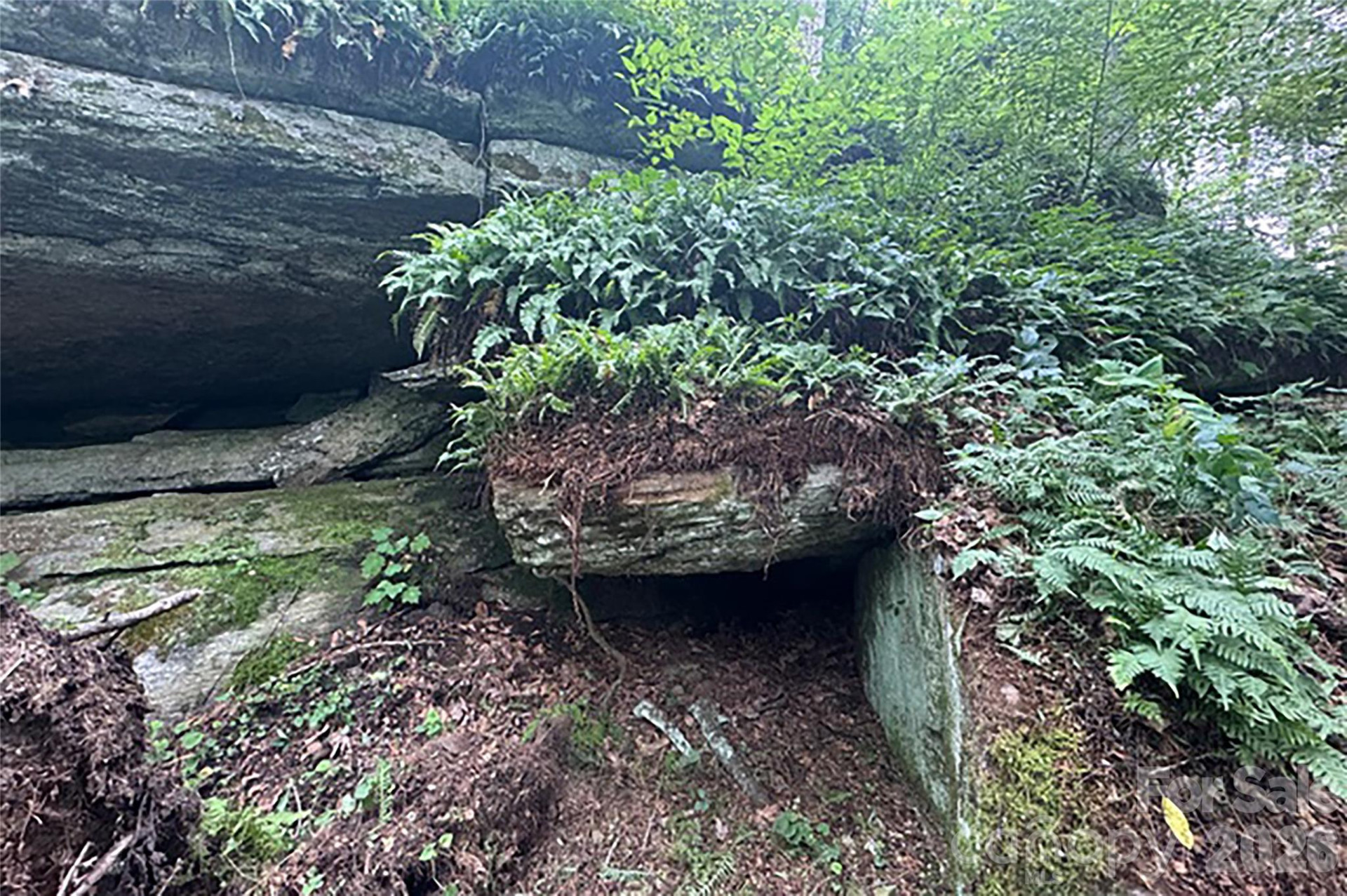 000 Laurel Ledge Way #23 - Photo 12