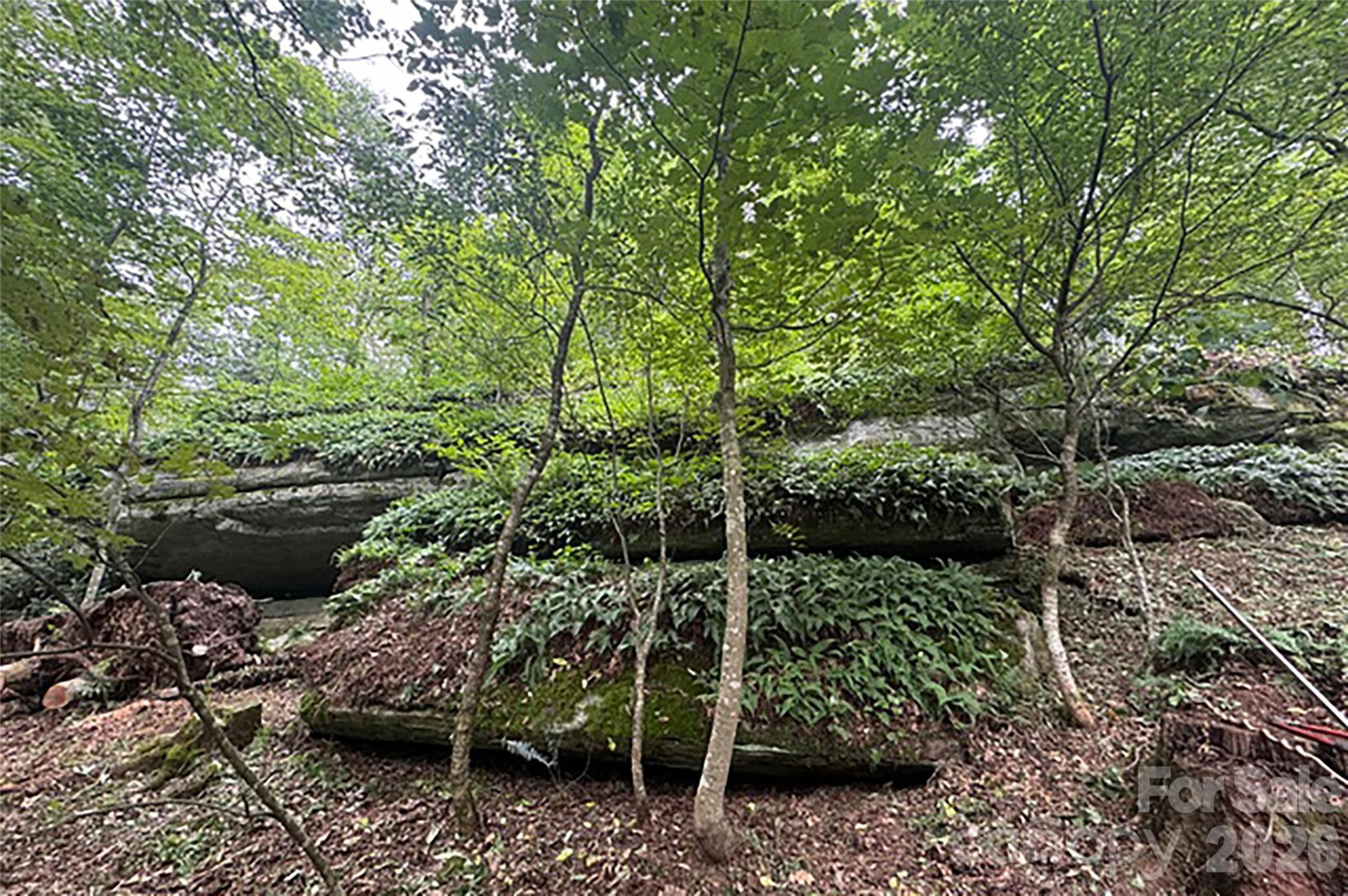 000 Laurel Ledge Way #23 - Photo 13