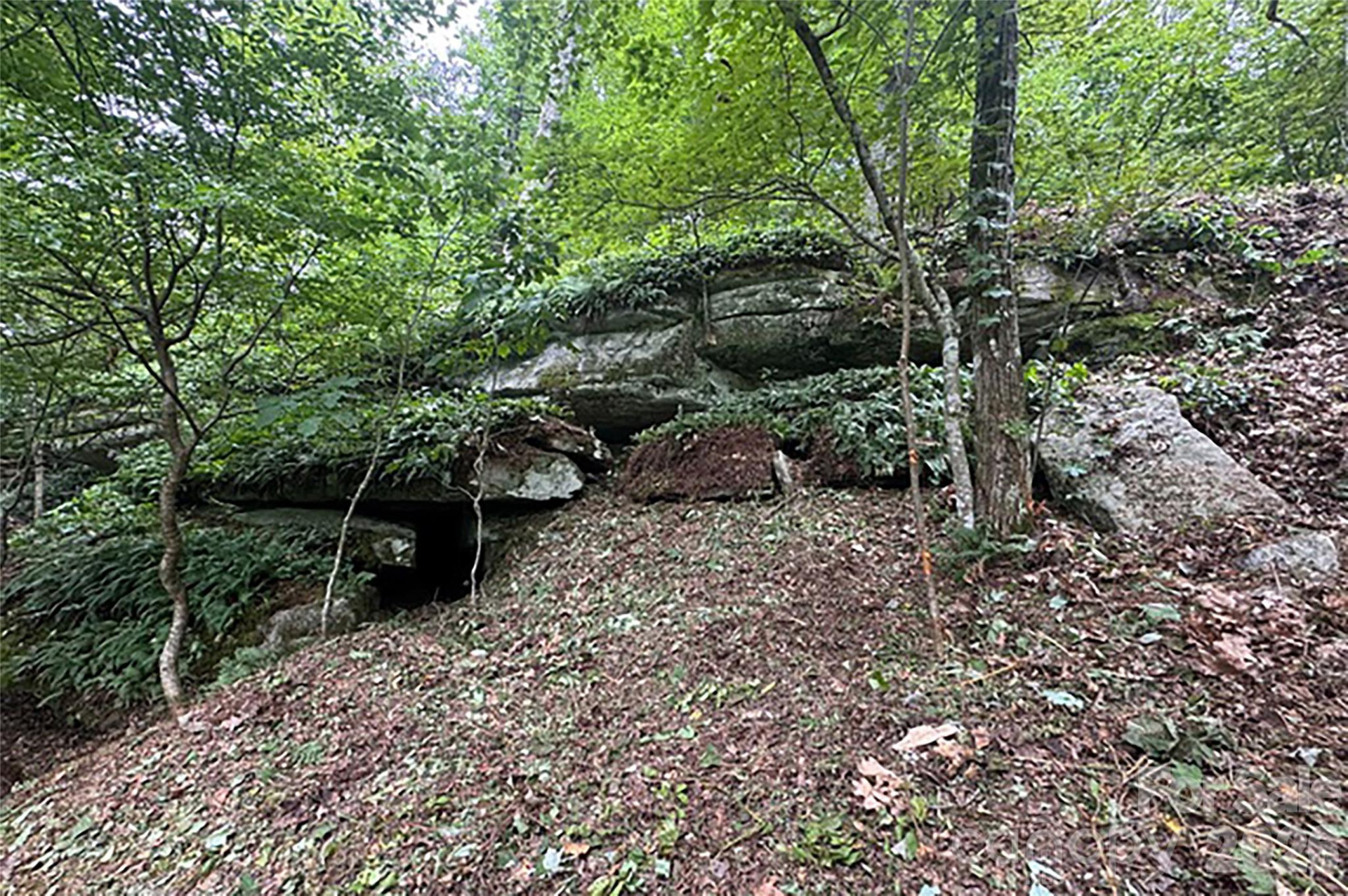 000 Laurel Ledge Way #23 - Photo 14