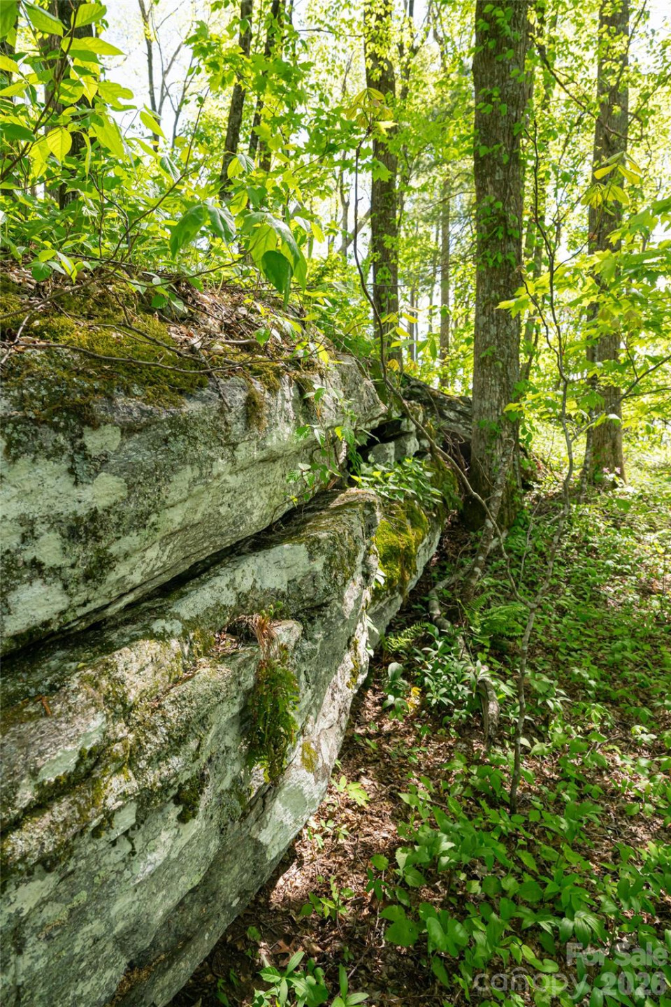 000 Laurel Ledge Way #23 - Photo 3