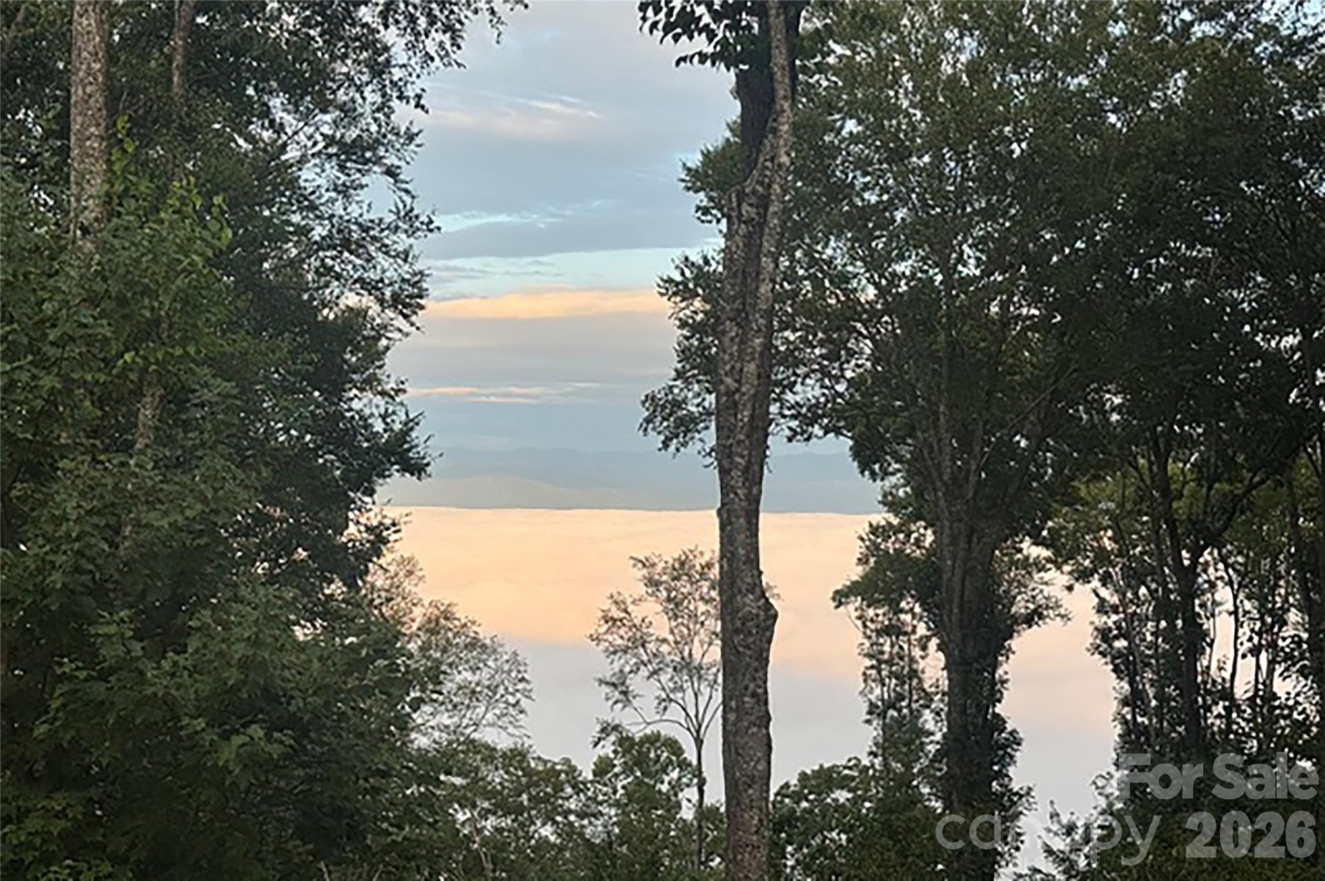 000 Laurel Ledge Way #23 - Photo 22