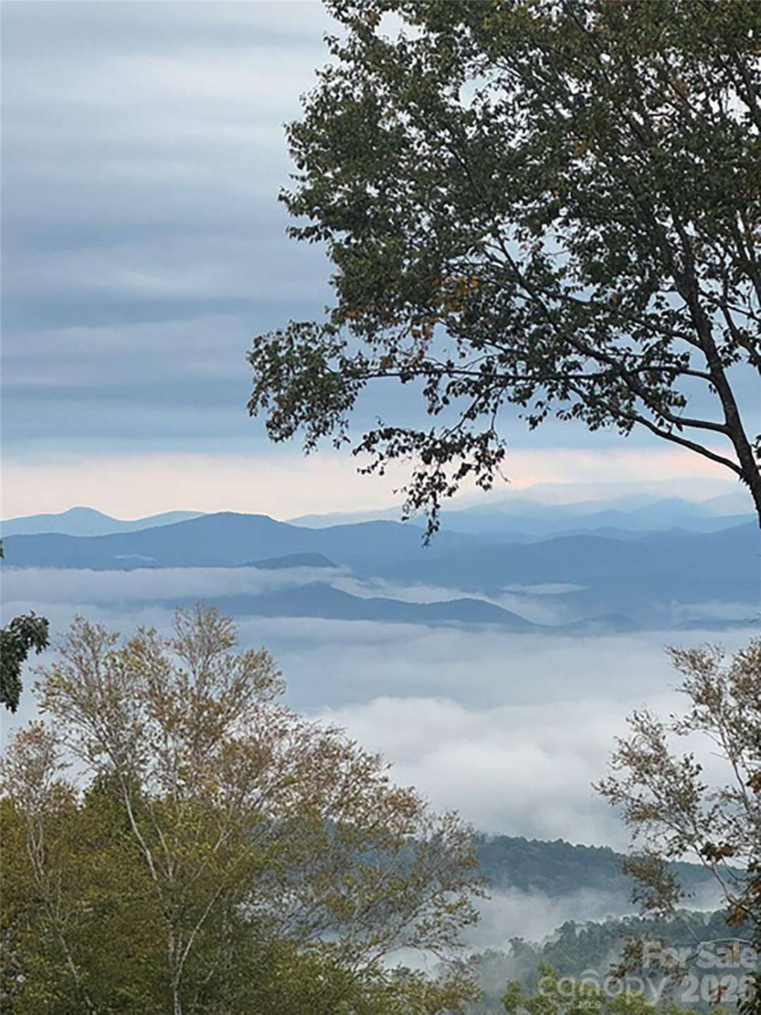 000 Laurel Ledge Way #23 - Photo 23