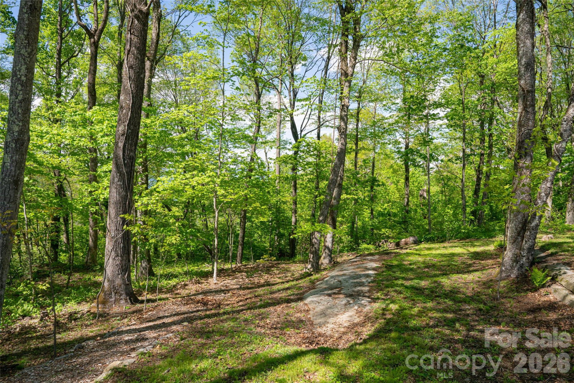 000 Laurel Ledge Way #23 - Photo 4