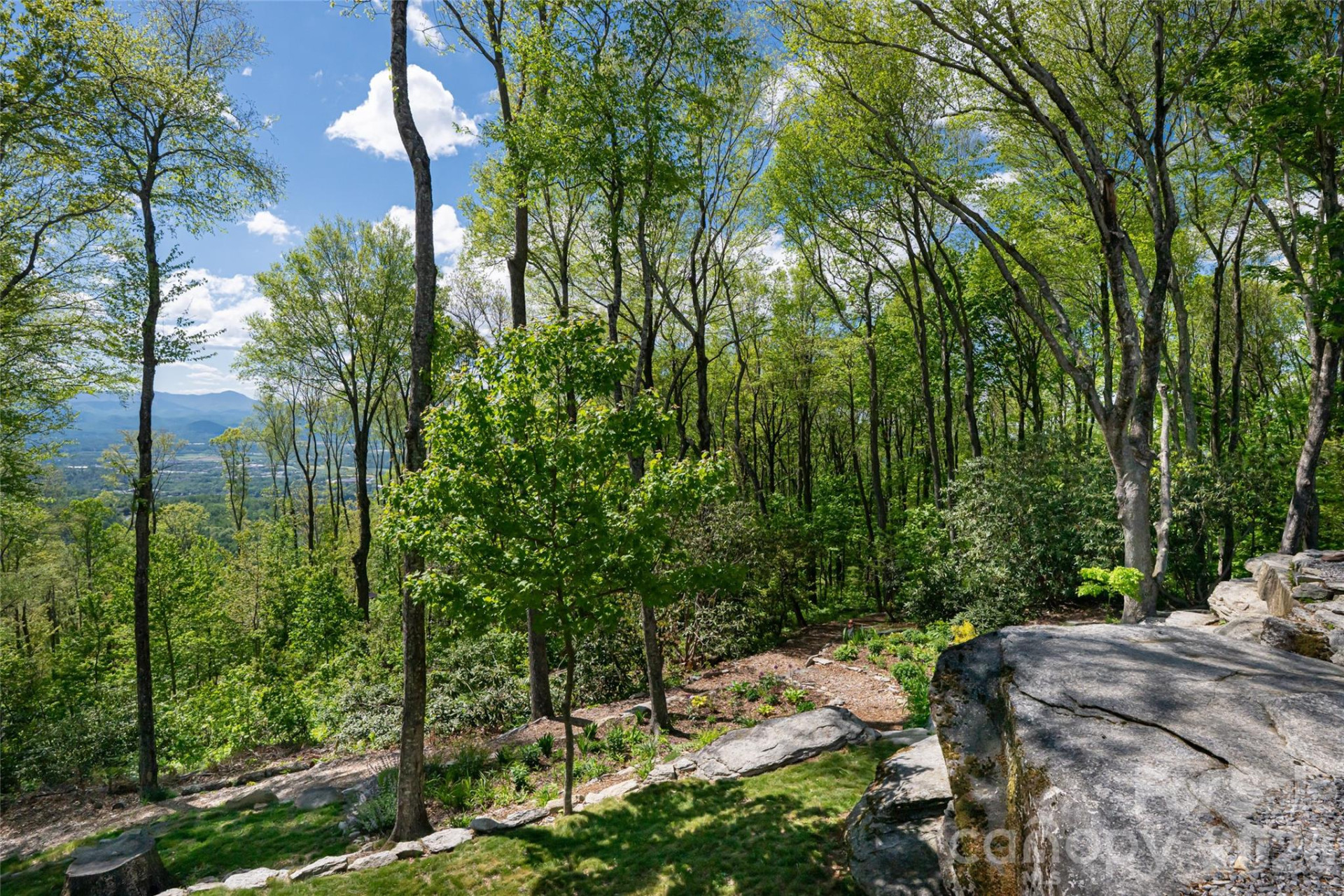 000 Laurel Ledge Way #23 - Photo 5