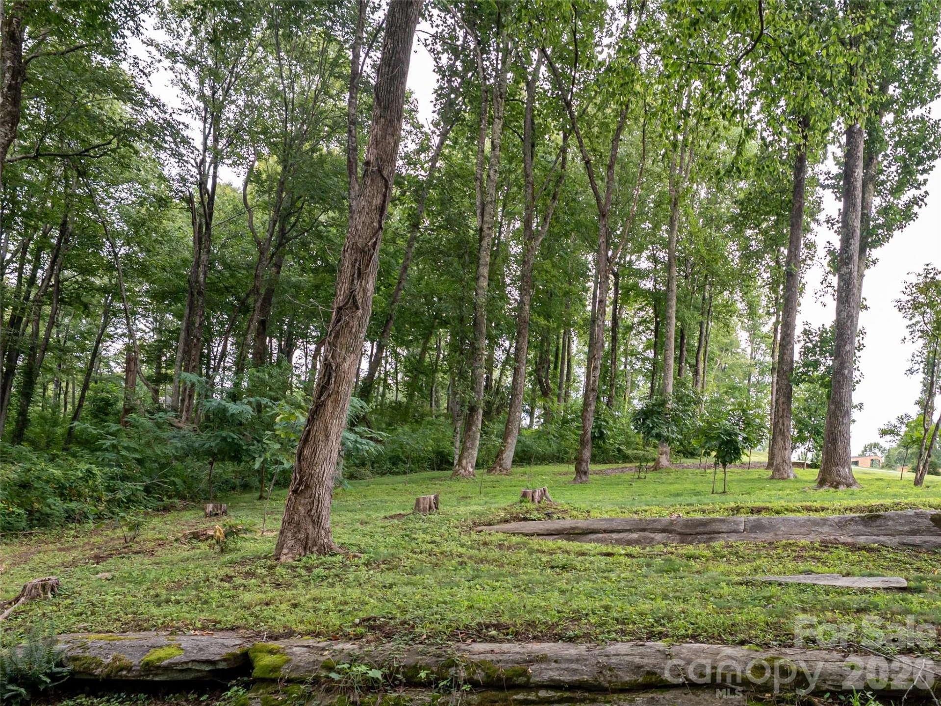 000 Laurel Ledge Way #23 - Photo 4