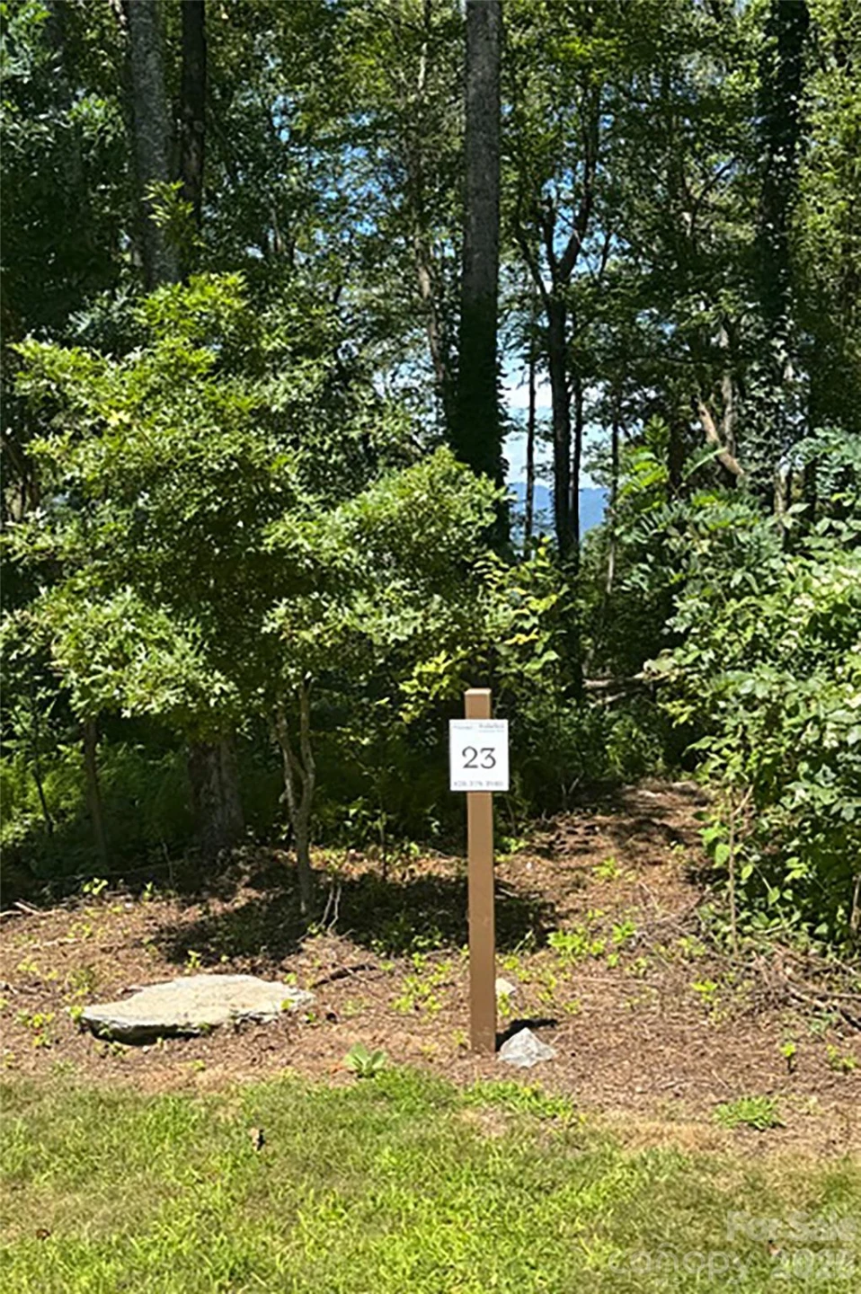 000 Laurel Ledge Way #23 - Photo 6