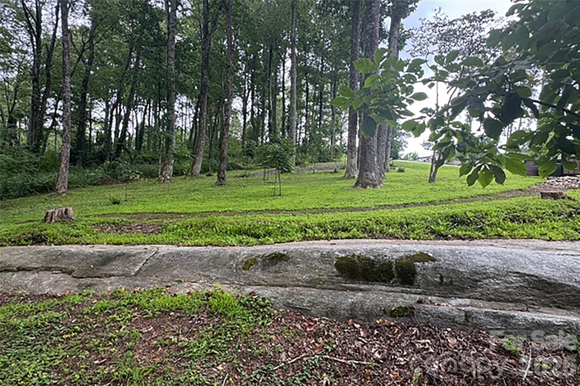 000 Laurel Ledge Way #23 - Photo 10