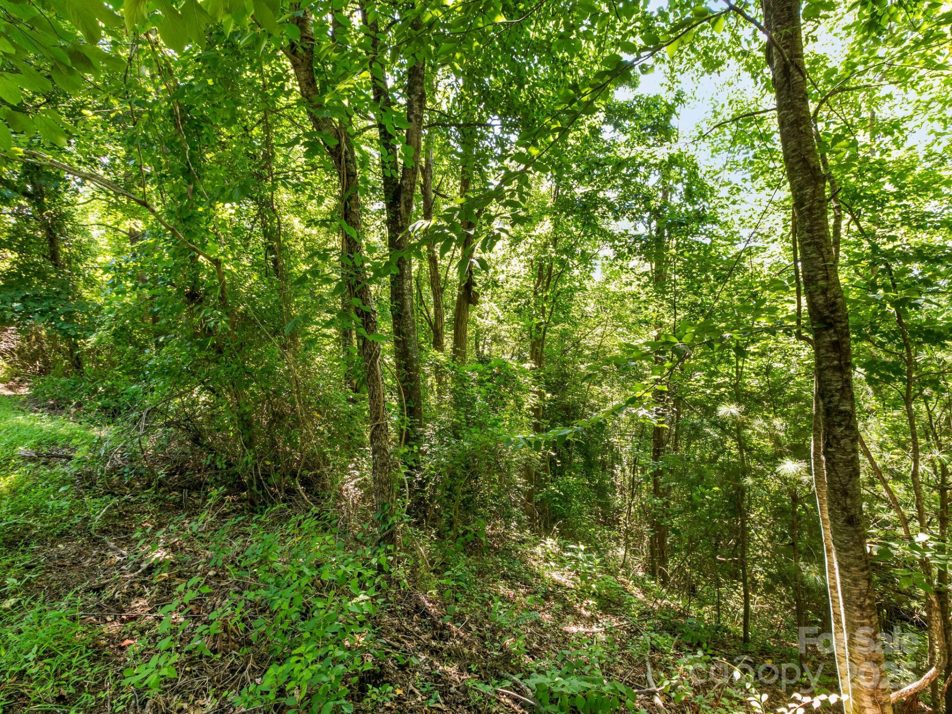 9999 Stone Valley Way #21 Ph 1 - Photo 14