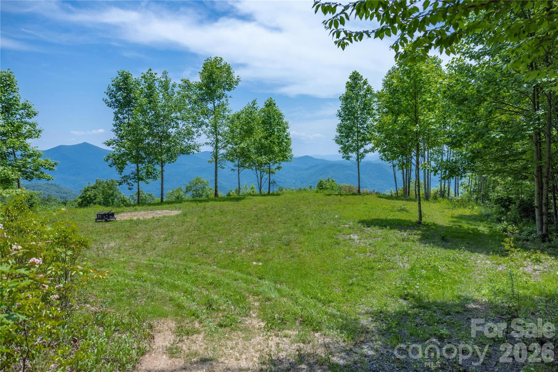 3409 Parris Branch Road - Photo 3