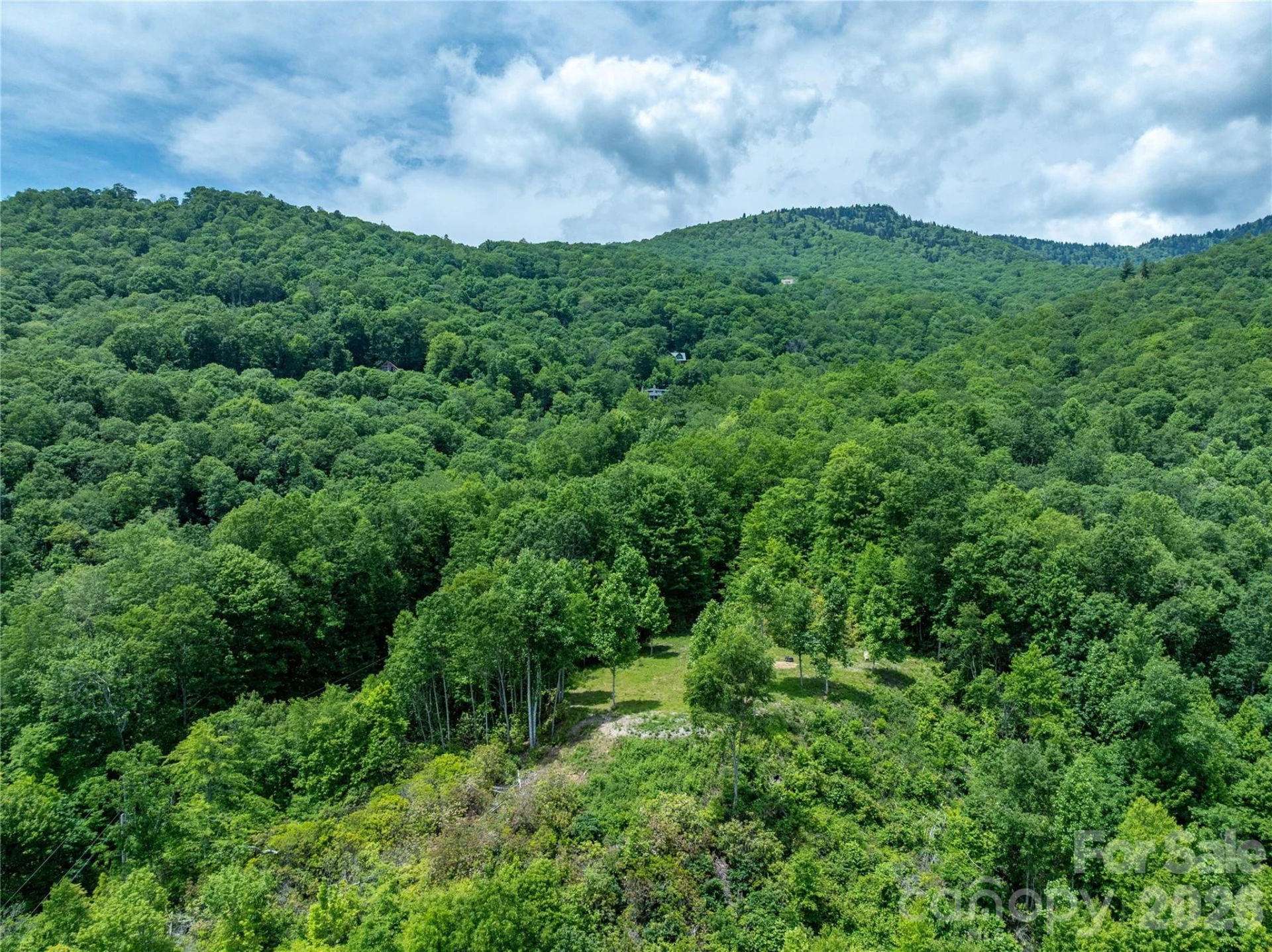 3409 Parris Branch Road - Photo 21
