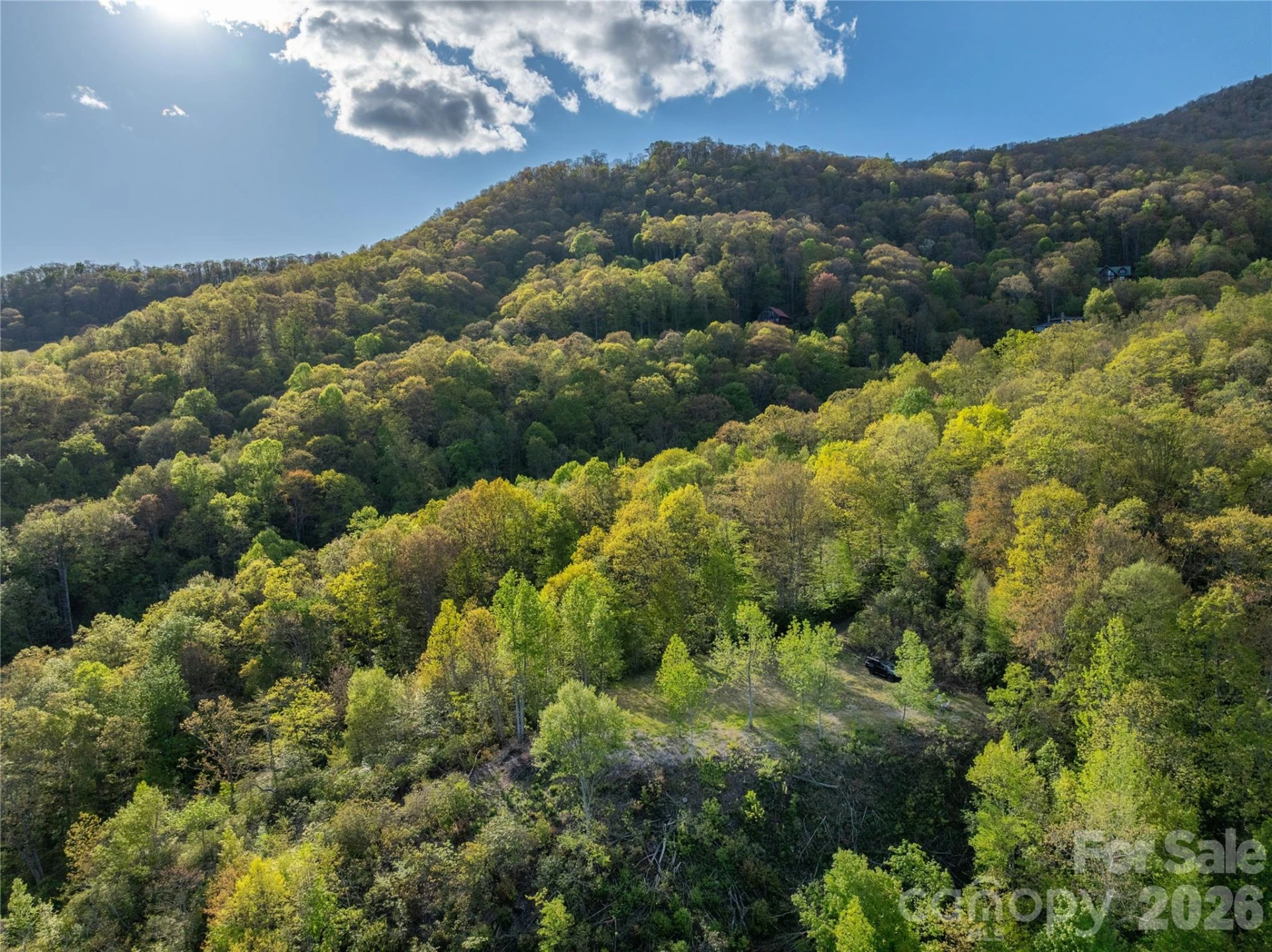 3409 Parris Branch Road - Photo 23