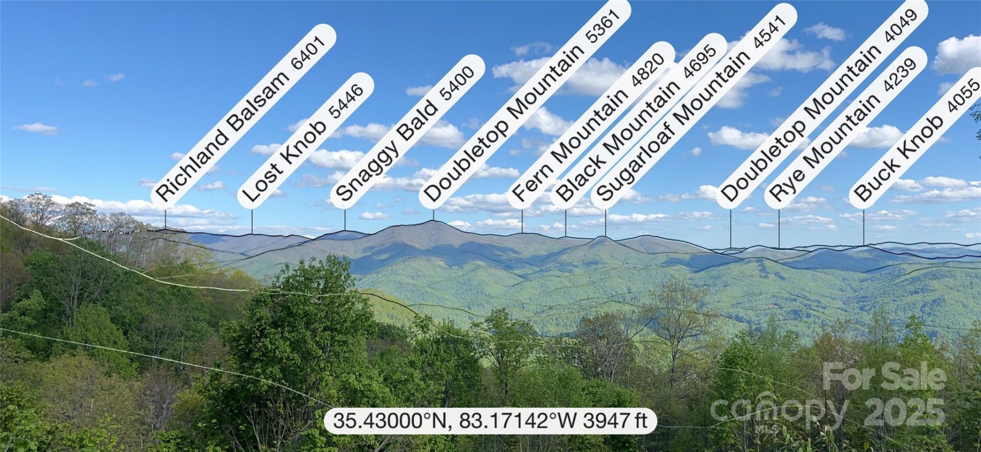 3409 Parris Branch Road - Photo 14