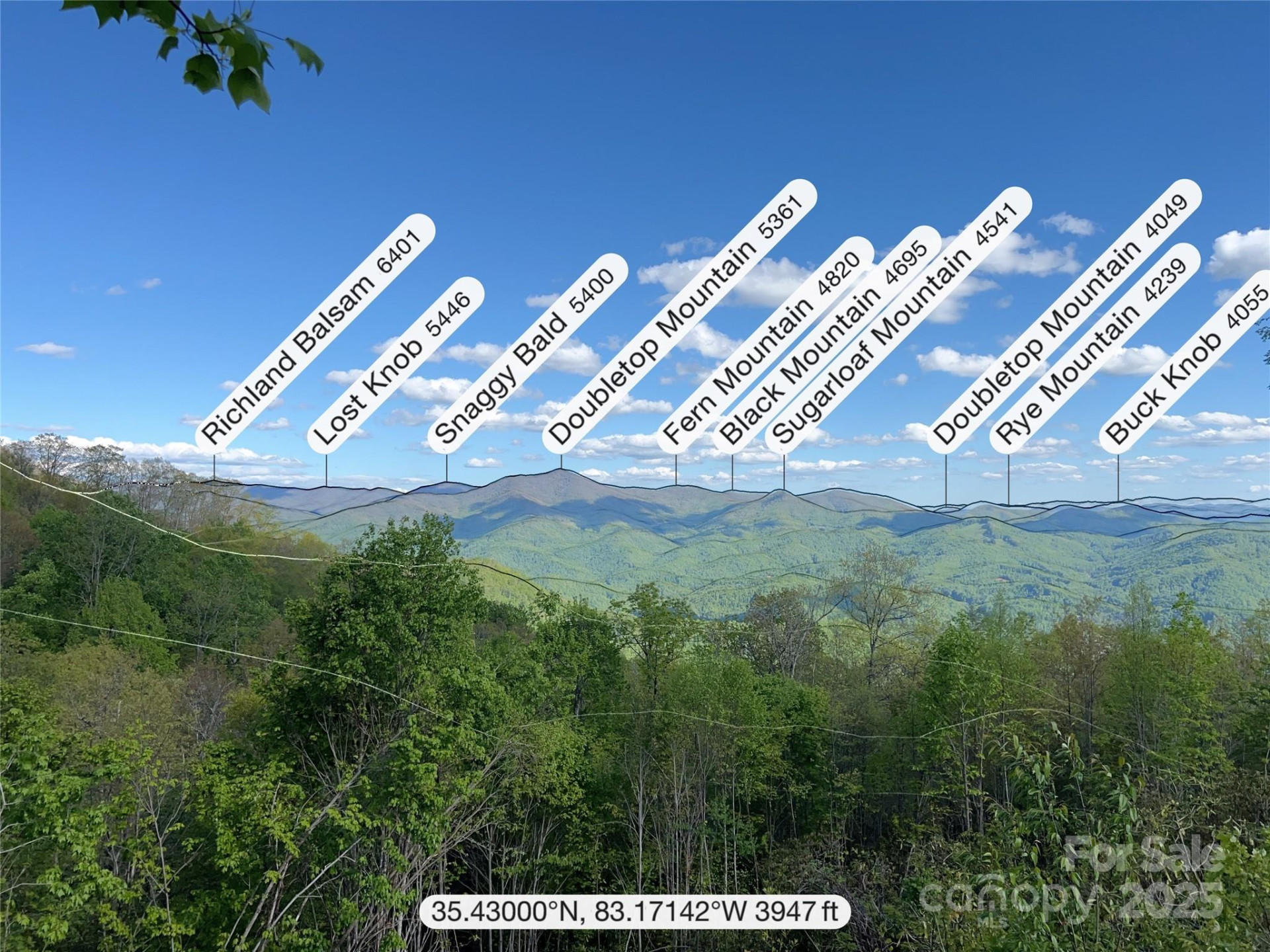 3409 Parris Branch Road - Photo 15