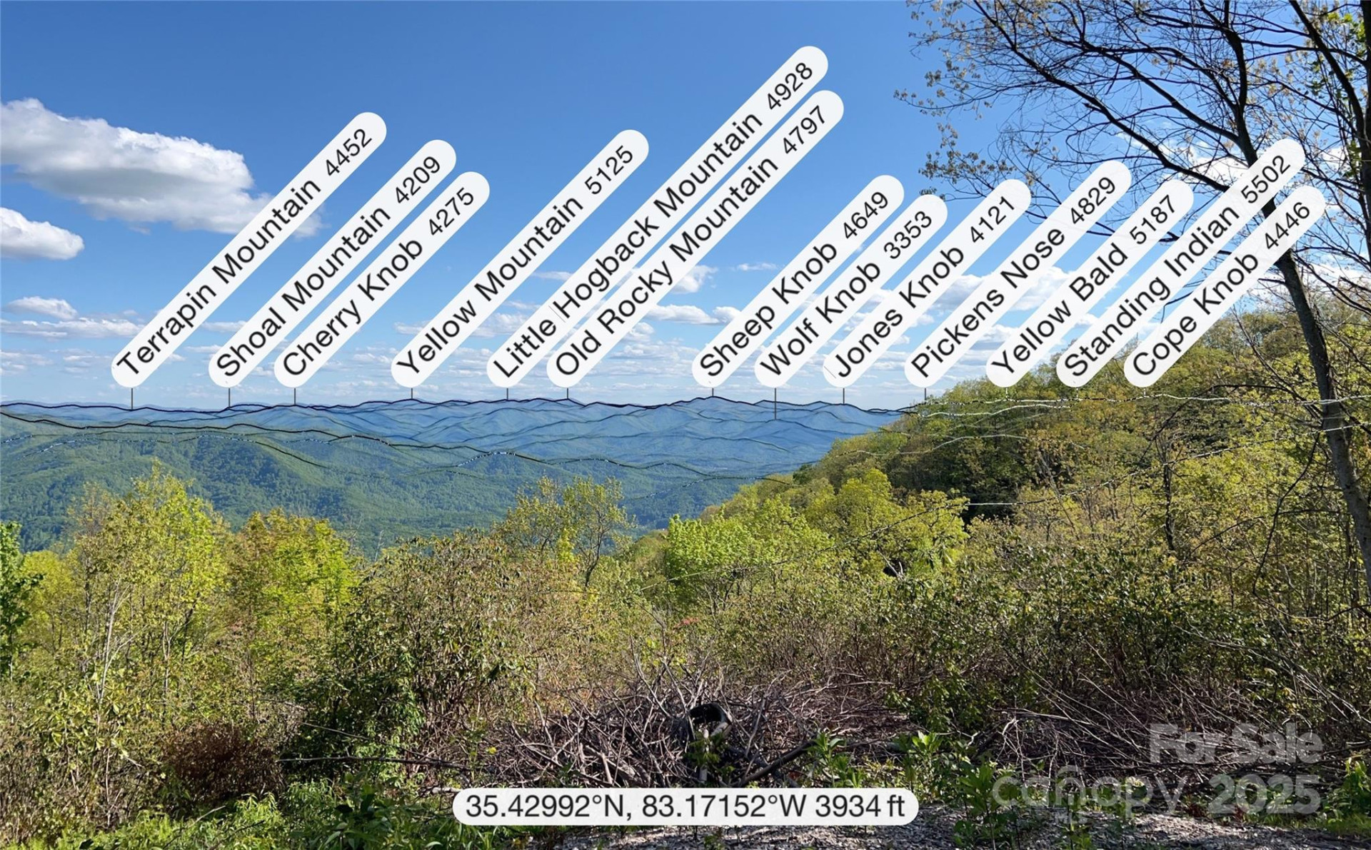 3409 Parris Branch Road - Photo 16