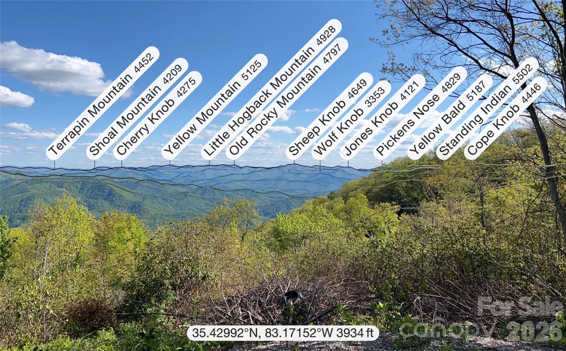 3409 Parris Branch Road - Photo 31