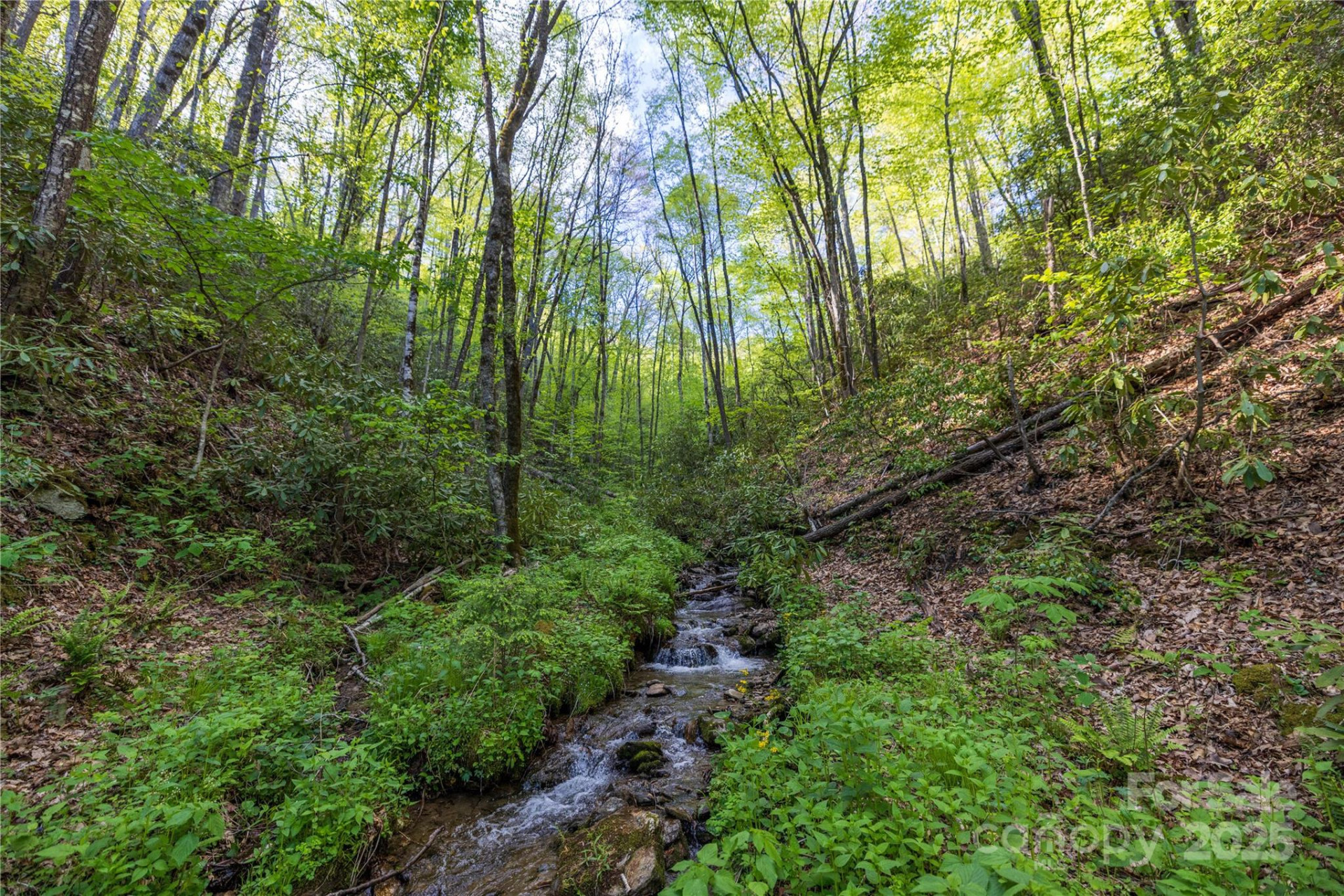 3409 Parris Branch Road - Photo 17