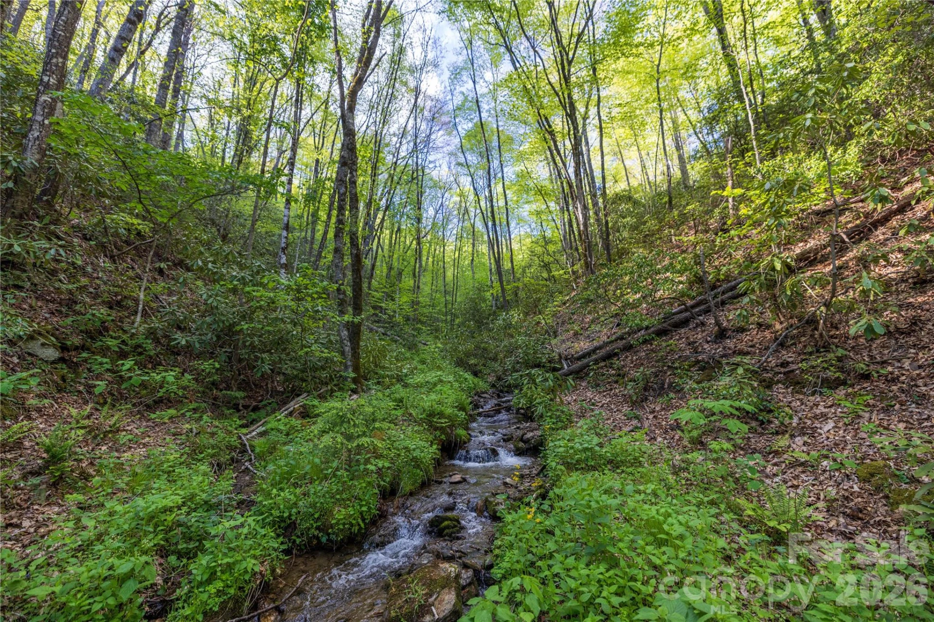 3409 Parris Branch Road - Photo 33
