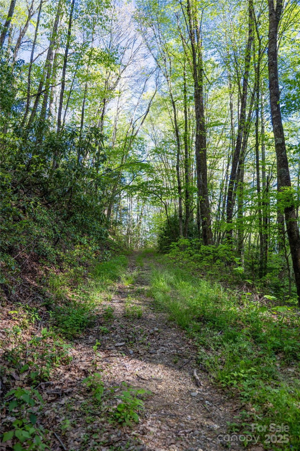 3409 Parris Branch Road - Photo 18