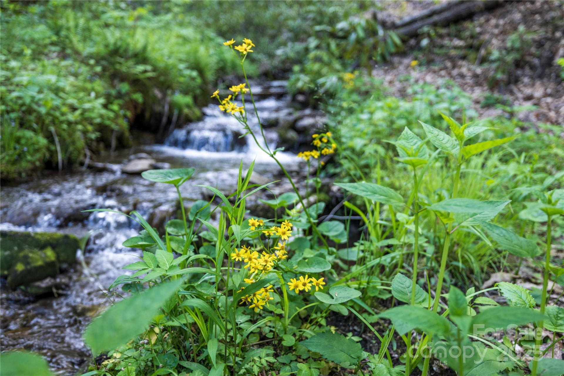 3409 Parris Branch Road - Photo 19