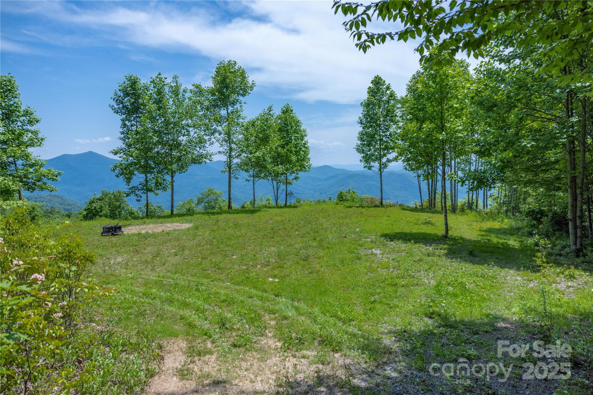 3409 Parris Branch Road - Photo 3