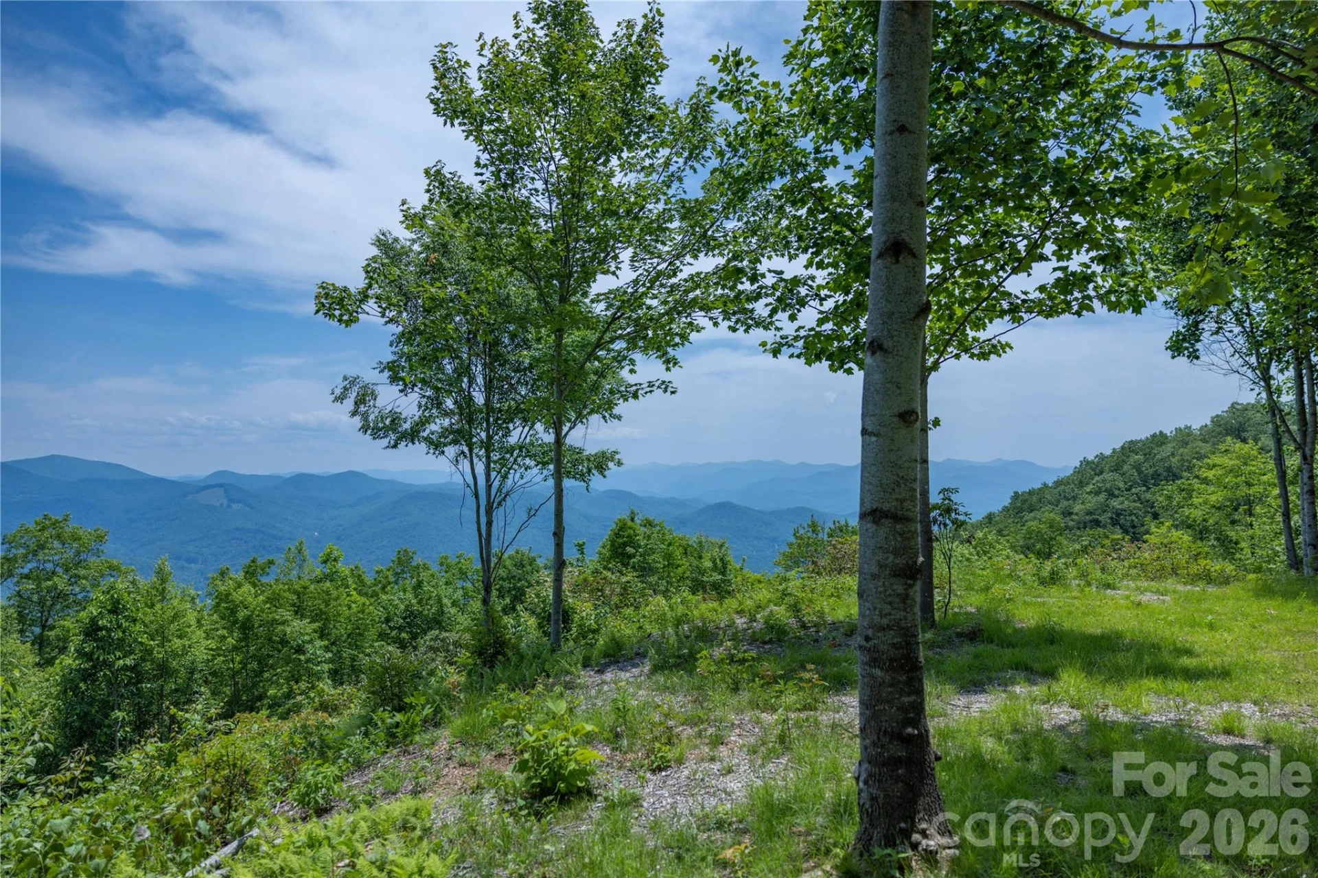 3409 Parris Branch Road - Photo 5